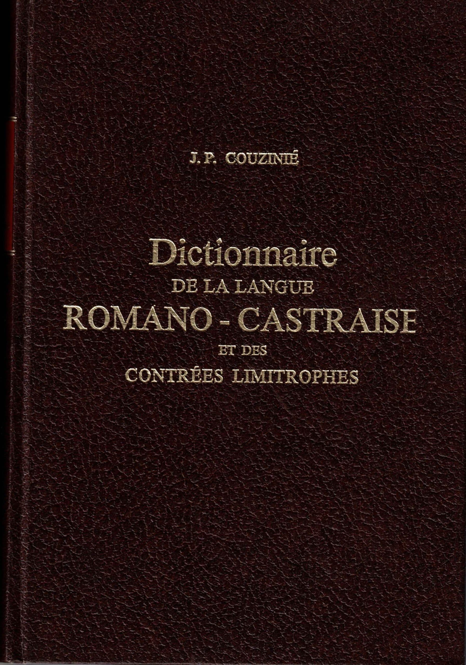 Dictionnaire de la langue romano-castraise et des contrées limitrophes