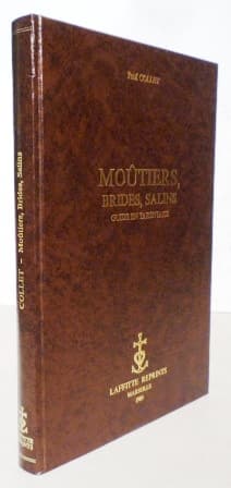 Moûtiers, Brides, Salins. Guide en Tarentaise