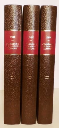 Grammaire des langues romanes